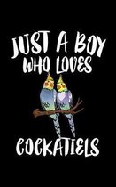 Just A Boy Who Loves Cockatiels