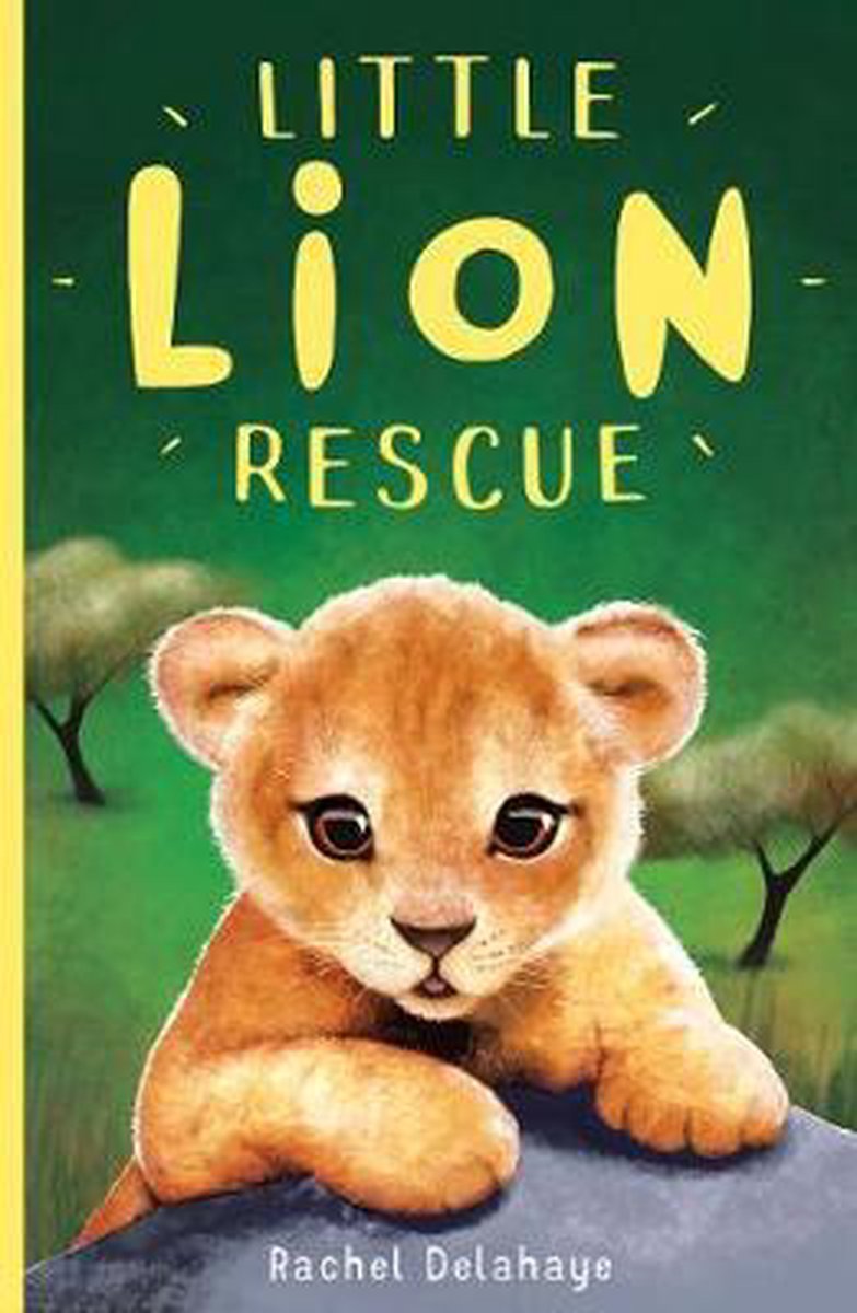 Little Lion Rescue - Rachel Delahaye