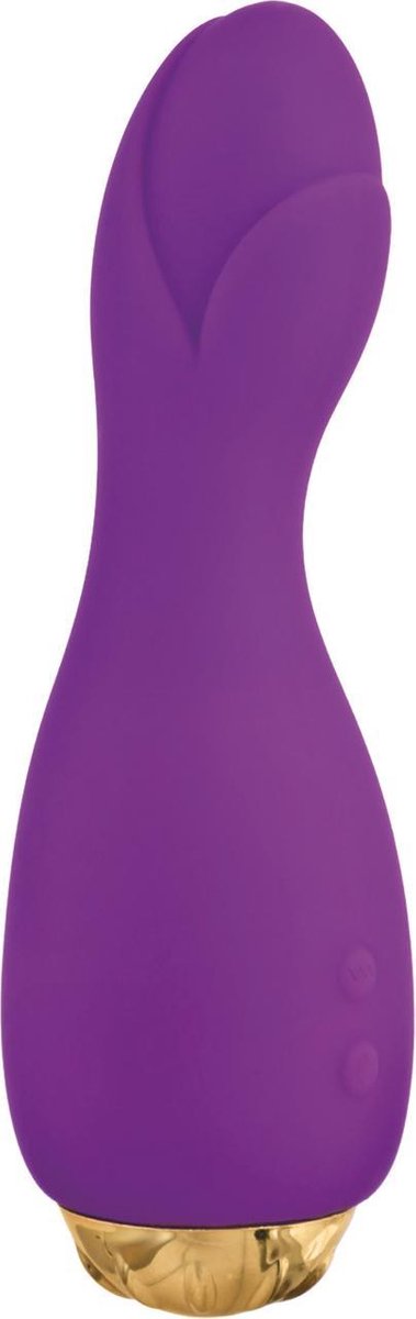 Paarse design vibrator