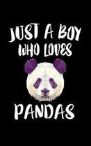 Just A Boy Who Loves Pandas