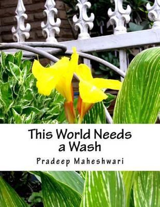 This World Needs a Wash - cover