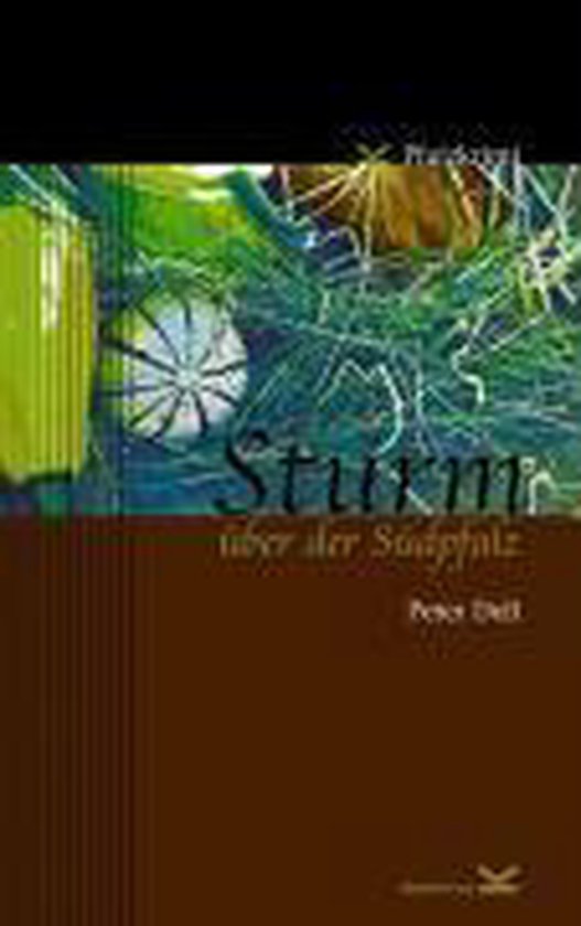 Sturm über der Südpfalz - cover
