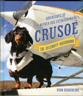 Crusoe The Celebrity Dachshund