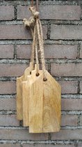 Set van 3 tapasplanken/snijplanken - Grachtenpand - 20 x 10 x 2 cm - Mangohout