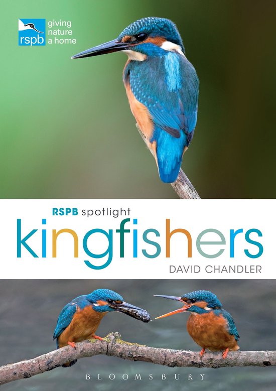 RSPB - RSPB Spotlight Kingfishers - cover
