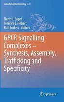 GPCR Signalling Complexes - Synthesis, Assembly, Trafficking and Specificity