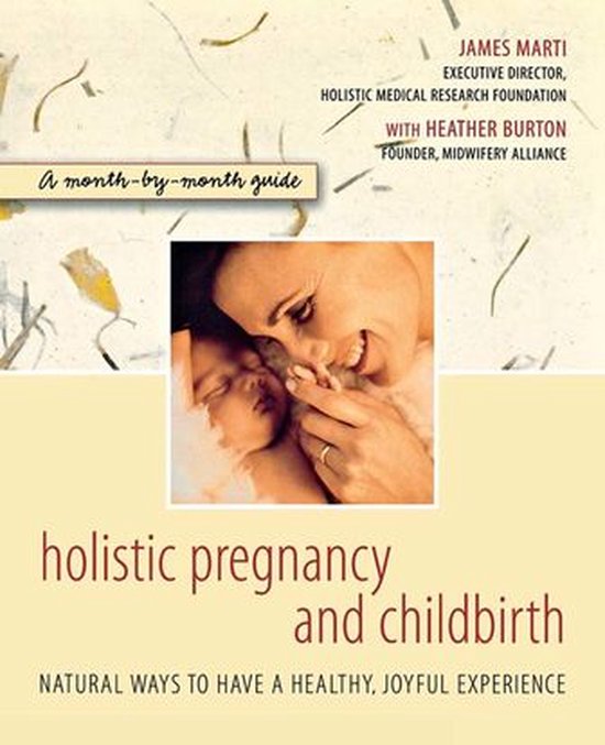 Holistic Pregnancy and Childbirth - cover