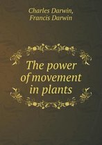 The power of movement in plants