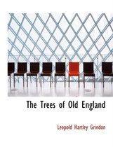 The Trees of Old England