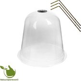 Planten stolp Ø 33 cm x hoogte 31 cm