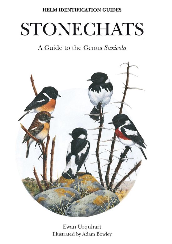 Boekomslag 'Stonechats' met illustraties van diverse Saxicola-vogels op takken en rotsen.