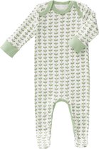 Fresk Pyjama met voet Leaves Mint - 3-6m