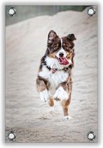 Tuinposter Springende Hond 40x60cm- Foto op Tuinposter (wanddecoratie voor buiten en binnen)