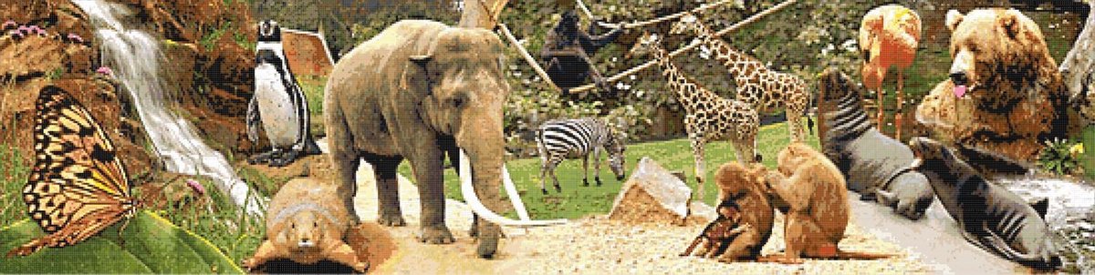 Borduurshop Hengelo Borduurpakket Dierentuin - Inclusief DMC garen en naald