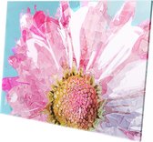 Roze bloem | Foto op plexiglas| Plexiglas | Foto op plexiglas | Wanddecoratie | 90 CM x 60 CM | Schilderij | Aan de muur | natuur