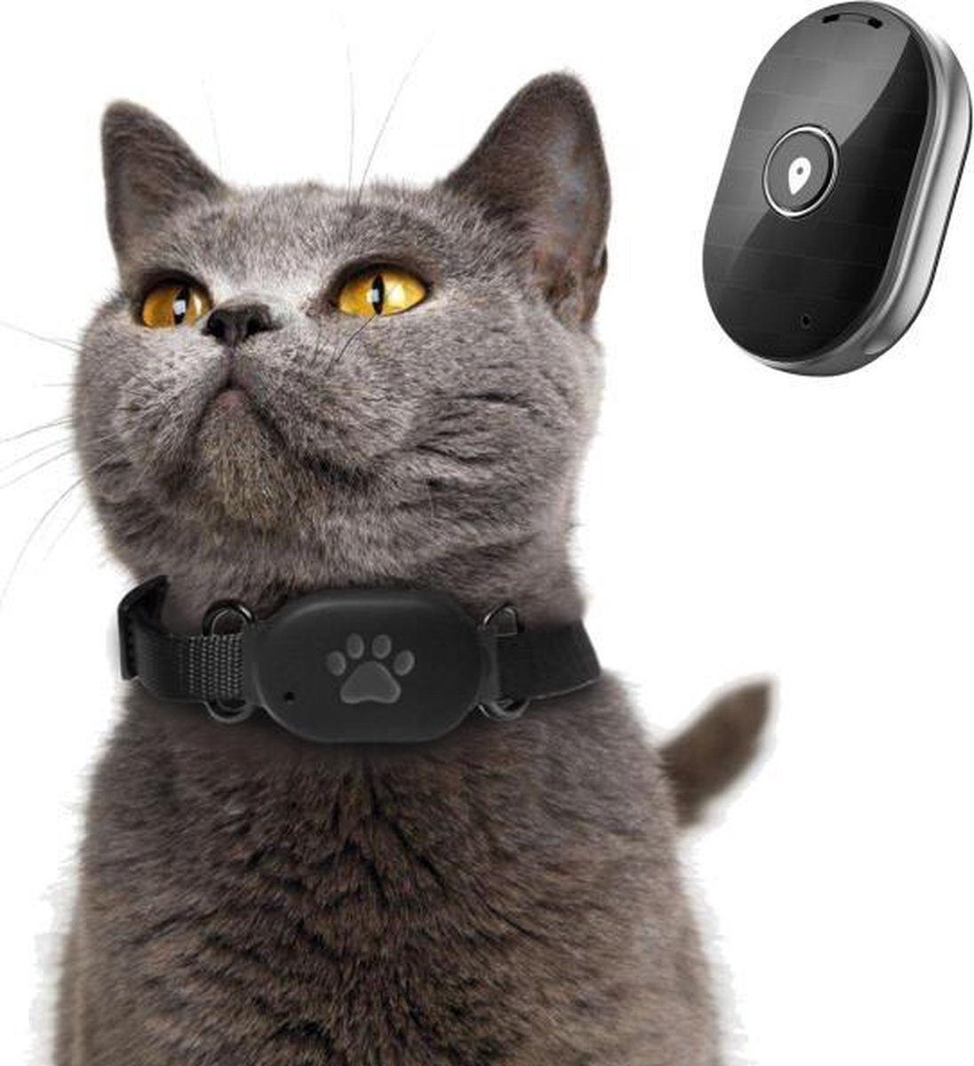 TrackMate - GPS Halsband voor Honden en Katten – Maison Holland