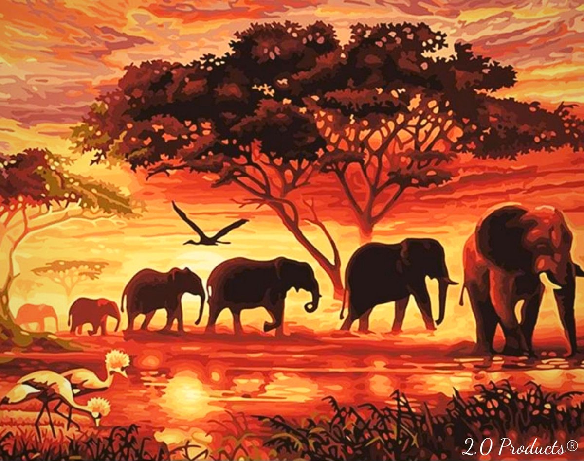 2.0 Products - Dieren - Landschap - Schilderen op nummer volwassenen - Paint by number - 40 x 50 CM - Olifant - Afrika