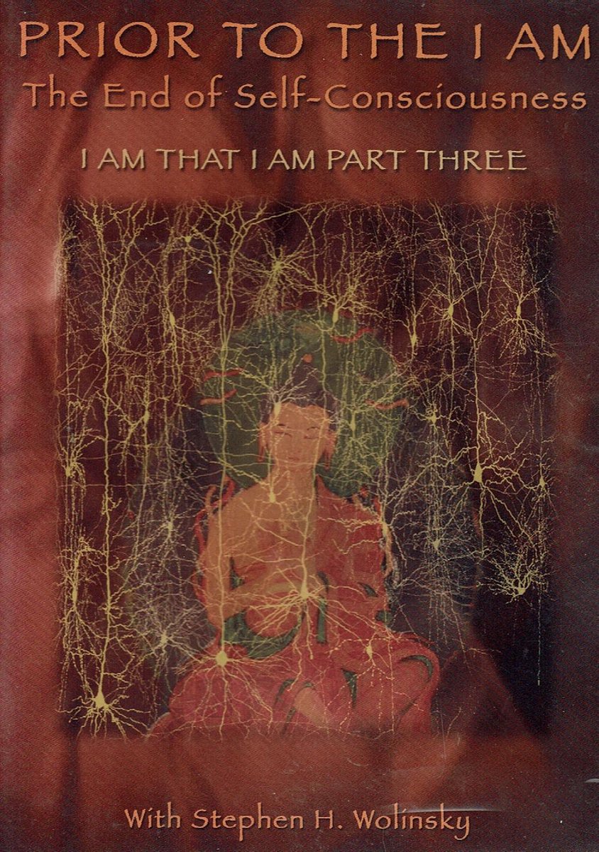 Prior to the I Am - Stephan H. Wolinsky (Import)