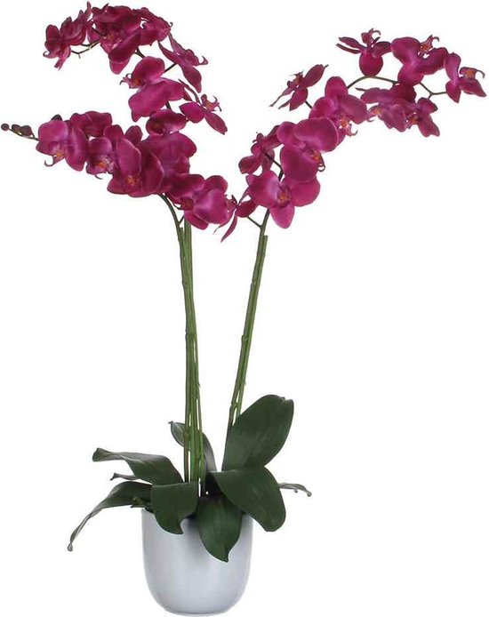 Mica Decorations phalaenopsis paars in pot tusca wit d14,5 - 100x53
