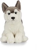 Pluche grijs/witte Husky hond knuffel 25 cm -Honden huisdieren knuffels Speelgoed voor kinderen