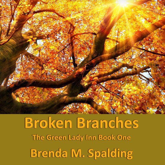 Broken Branches - cover