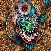 JDBOS ® Schilderen op nummer Volwassenen -  Gekleurde uil - Colorful owl - Paint by numbers - Verven volwassenen - 40x50 cm