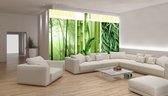Bamboo Forest Nature Photo Wallcovering