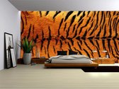 Tiger Skin  Photo Wallcovering