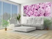 Pink Roses Photo Wallcovering