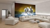 Fotobehang Witte Paarden XXL – Paarden in het water - 368 x 254 cm