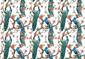 Fotobehang Vlies | Vogels | Blauw, Oranje | 368x254cm (bxh)