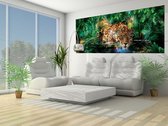 Leopard In Jungle Photo Wallcovering
