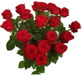 40 rode rozen (Red Naomi A1) incl. luxe vaas en gratis bedrukte kaart