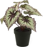 Emerald Kunstplant Begonia - H 25 cm