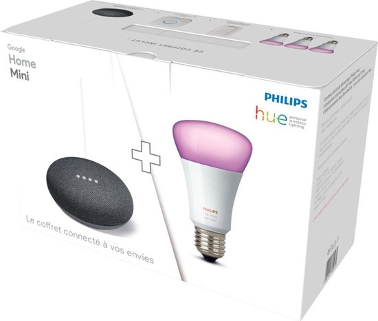Google Home Mini Philips Hue Starter Pack wire lightning | bol.com