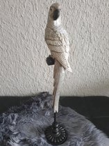 figuur papegaai zilver op standaard 65 cm