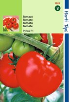 2 stuks Hortitops Tomaten Pyros F1