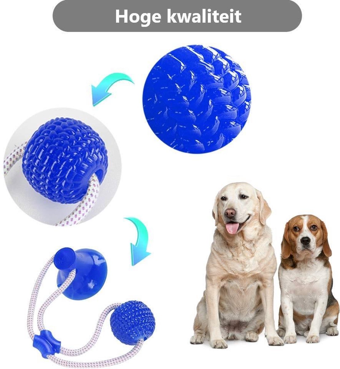 505487_7 505487_7