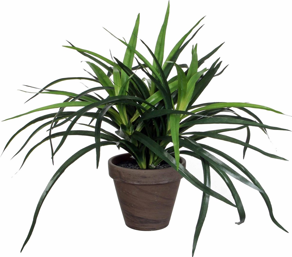 Mica Decorations Groene Dracaena kunstplanten van 34 cm in bruine plastic pot Kunstplanten nepplanten