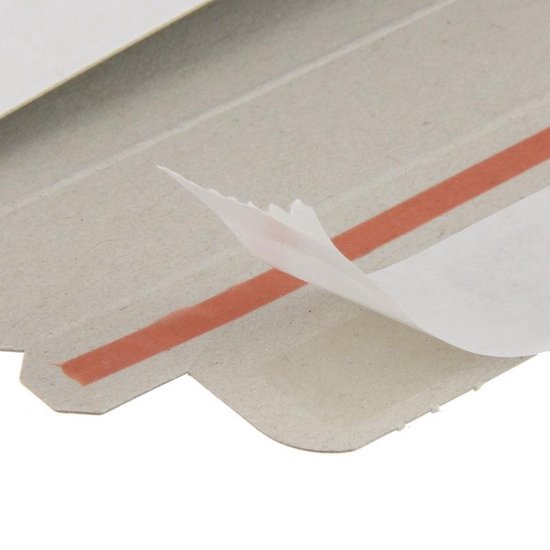 Verzendzakken, plastic kledingverpakkingen, 100 stuk, 4 maten, zelfklevend en ondoorzichtig, van kunststof (champagne-roze