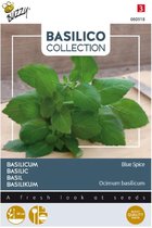 Buzzy - Basilicum Blue Spice