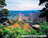 Grand Canyon North Rim (500 stukjes)