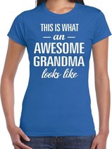 Awesome grandma / oma cadeau t-shirt blauw dames M