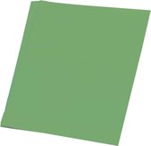 Haza Original Etalagekarton 50 X 70 10 Vel Kerstgroen