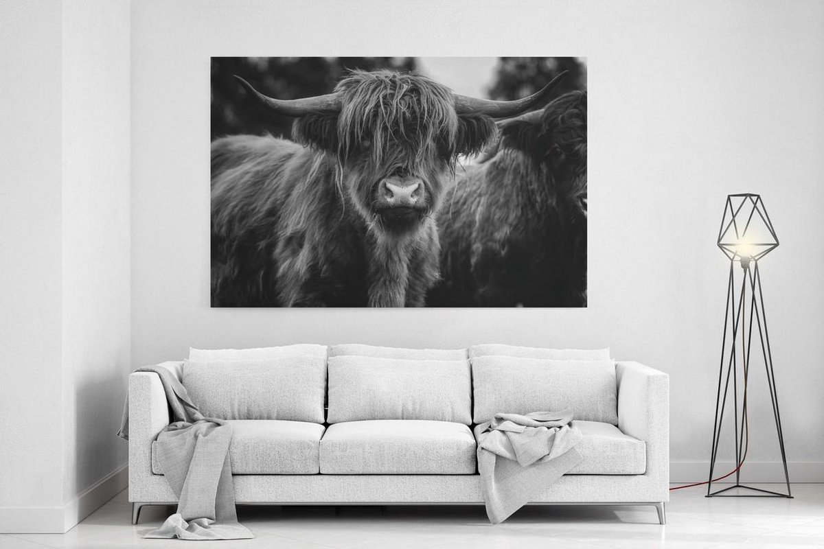 Tuinposter op buiten canvas Schotse hooglander bol