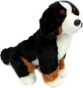 Berner sennenhond 28 cm