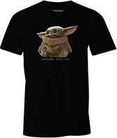 Star Wars Baby Yoda The Mandalorian Heren T-shirt M