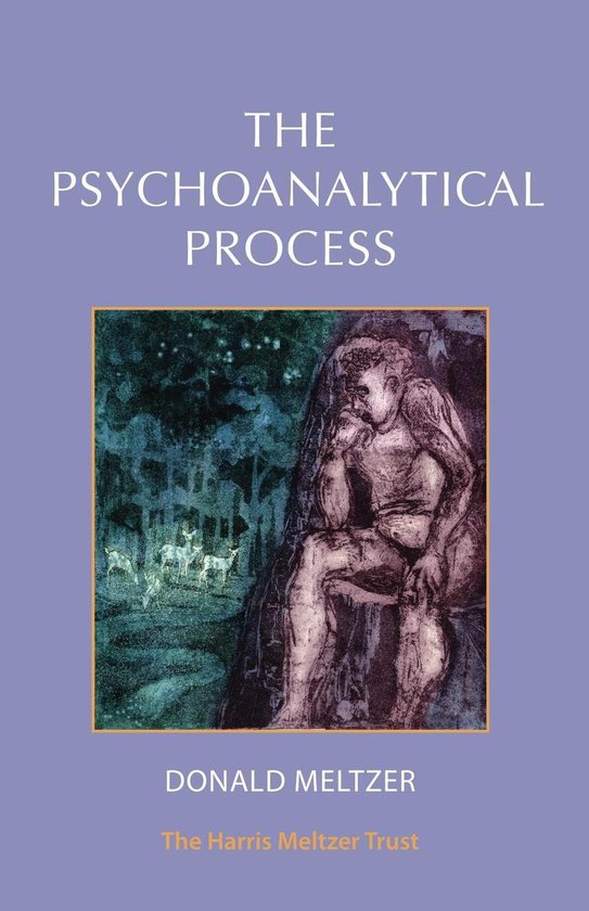 The Psychoanalytical Process - cover