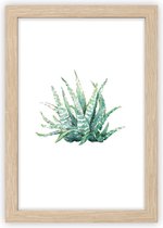 Art for the Home - Schilderij - Haworthia plant - 30x40 cm