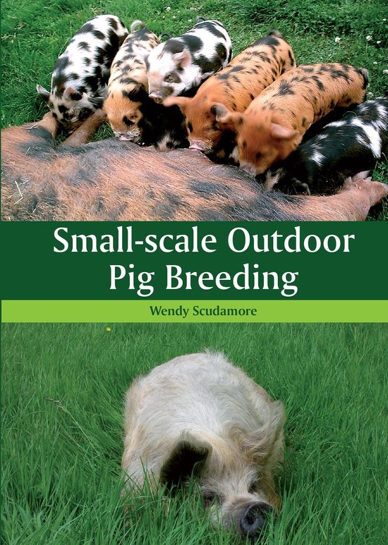 Small-scale Outdoor Pig Breeding - cover